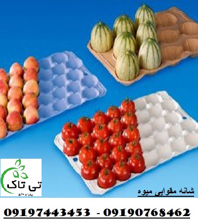 شانه مقوایی بسته بندی میوه – 09190768462