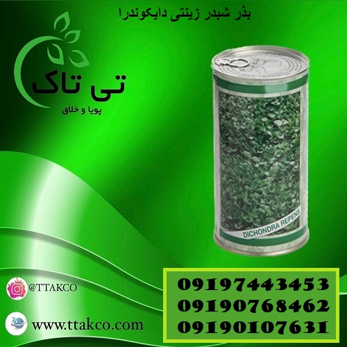 بذر چمن دایکوندرا (بذر زینتی و رونده) – 09190768462