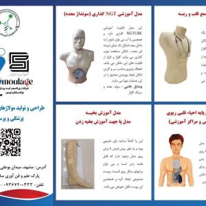 تولید و پخش مولاژ و مانکن تخصصی آموزش پزشکی و پرستاری و امداد و نجات