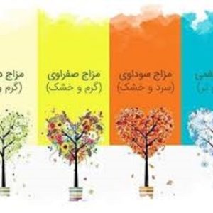 اموزش تخصصی مزاج شناسی توسط اساتید مجرب