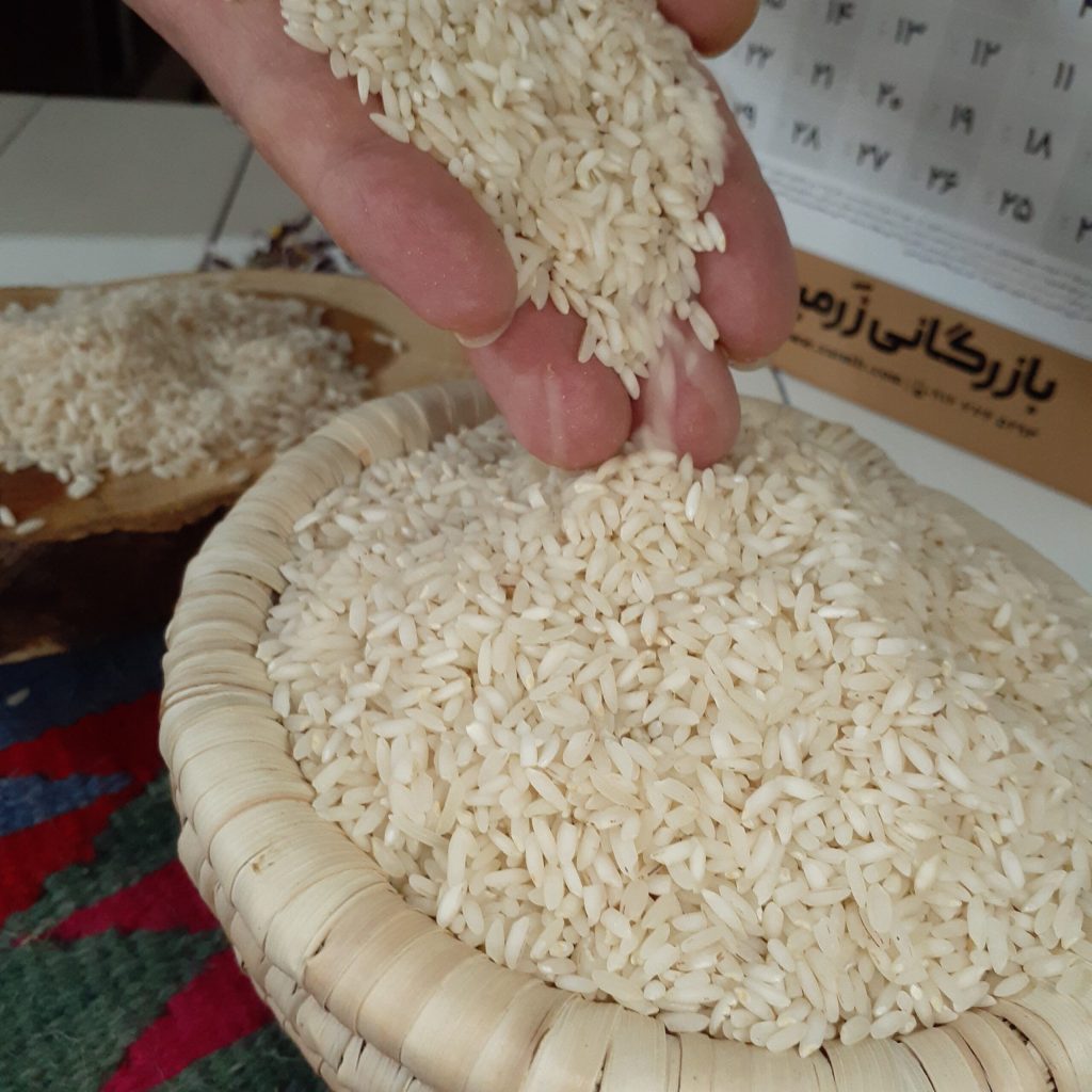 انواع برنج ایرانی:بازرگانی دلوین