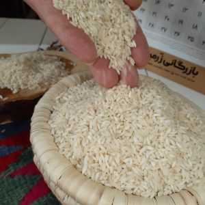 انواع برنج ایرانی:بازرگانی دلوین