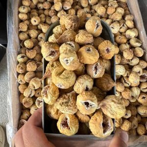 فروش عمده انجیر خشک استهبان