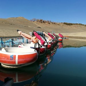 قایق موتوری گرد دوناتی هشت نفره