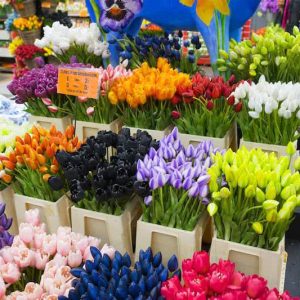 اجاره غرفه بازار گل تهران ( اسلامشهر )