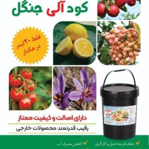 کود آلی جنگل