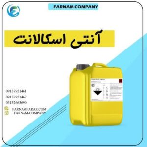 انتی اسکالانت