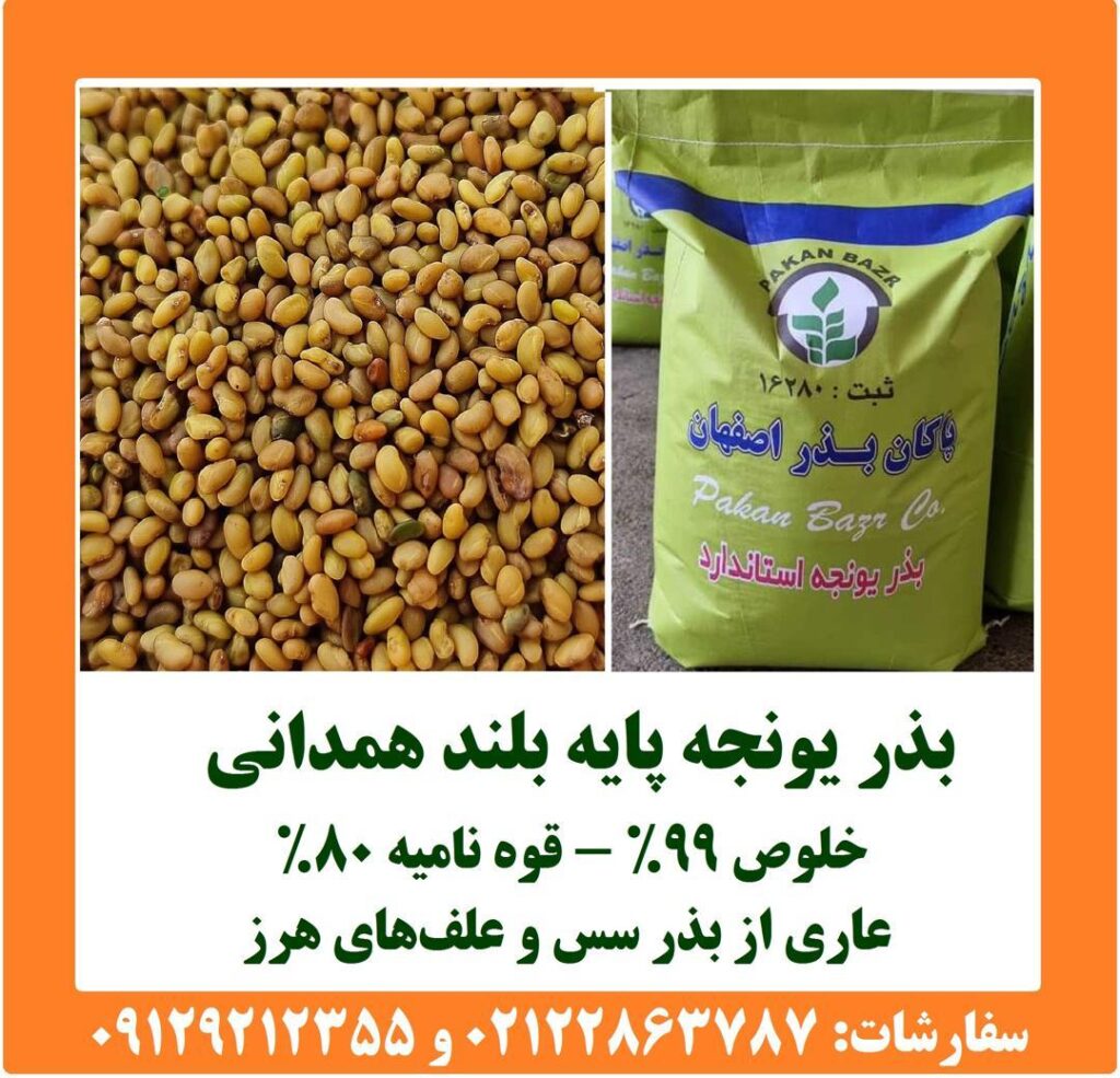 🌱 بذر یونجه رنجر؛ برای شروع یک کشت اصولی