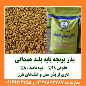 🌱 بذر یونجه رنجر؛ برای شروع یک کشت اصولی